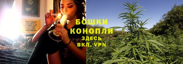 сатива Алзамай