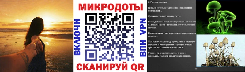 Псилоцибиновые грибы Psilocybe  Калининград 